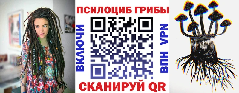 Купить закладки  Калтан  Псилоцибиновые грибы Psilocybine cubensis 