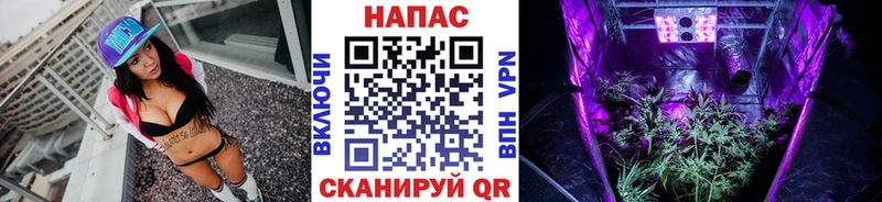 Бошки марихуана AK-47  Купить где  Калтан 